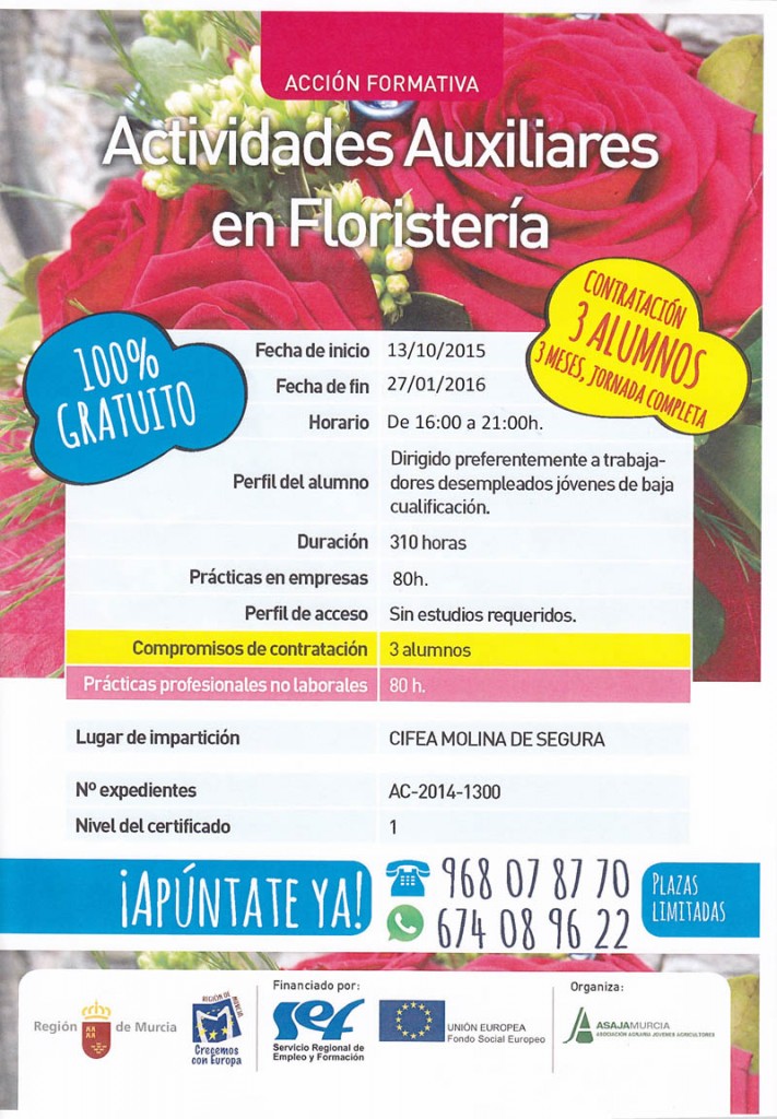 Curso arreglo floral