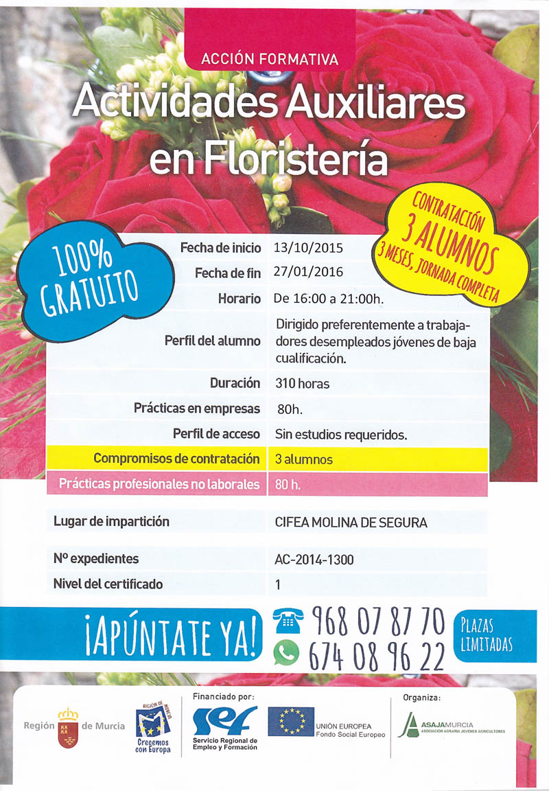 Curso arreglo floral