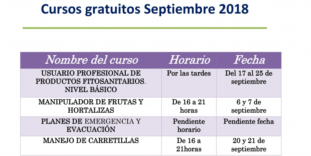 el ayuntamiento de lorqui apuesta por la formacion y el empleo con nuevos cursos gratuitos para septiembre 60e7f7e835470
