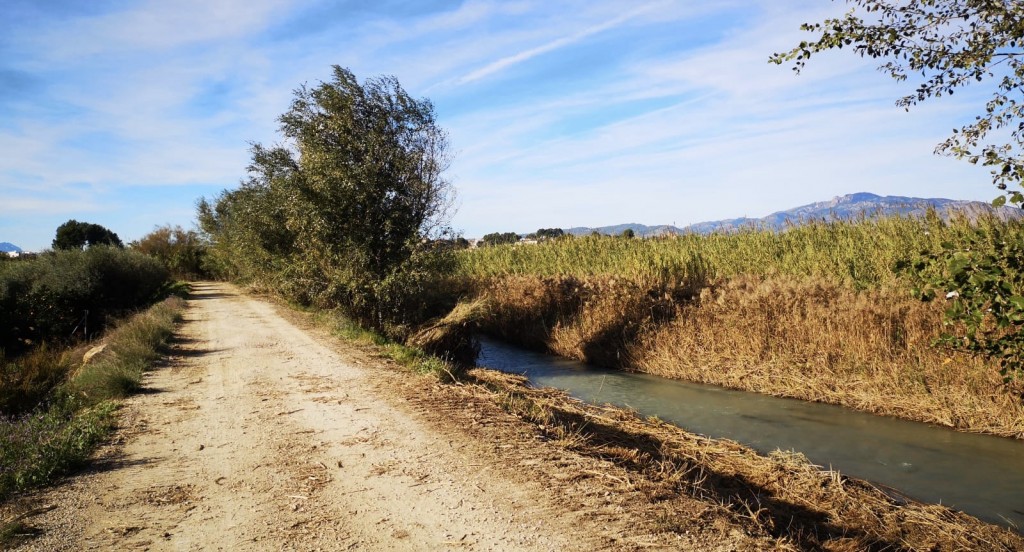 el ayuntamiento la chs la asociacion amigos del patrimonio de lorqui y anse sientan las bases para la recuperacion ambiental de la ribera del rio 60e7f75282961