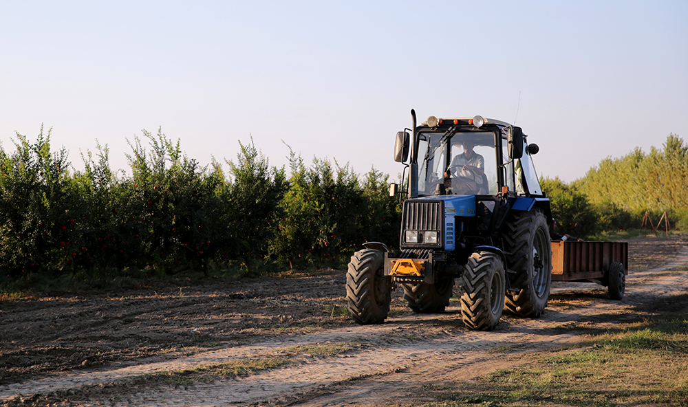 la oferta de empleo agricola favorecera la contratacion temporal de trabajadores en el sector agrario 60e7f47bc418f