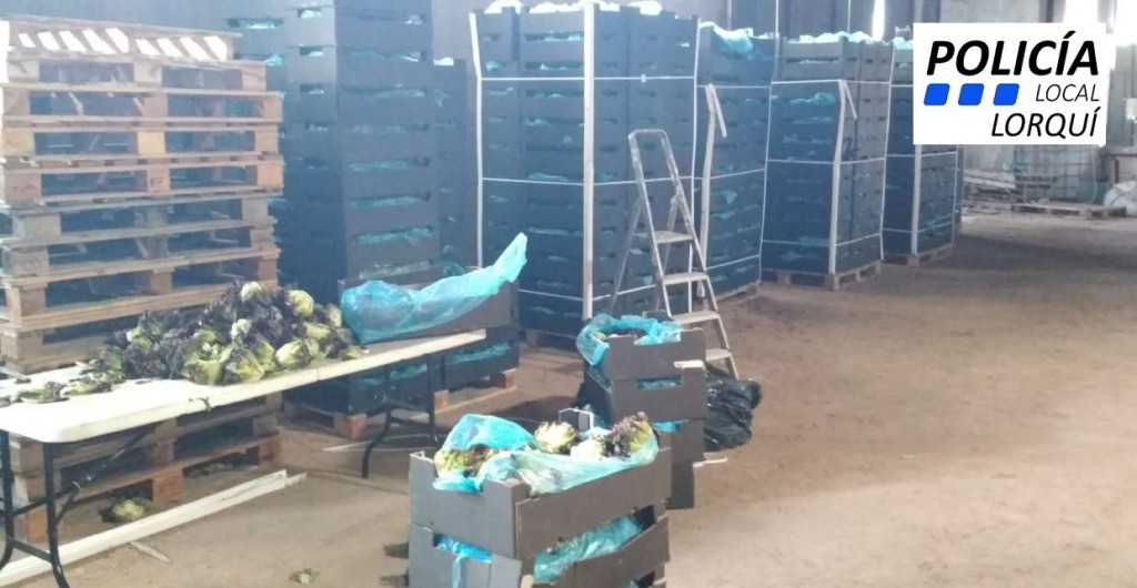 la policia local de lorqui intercepta un cargamento de 220 kilos de marihuana 60e7f4eb8f178