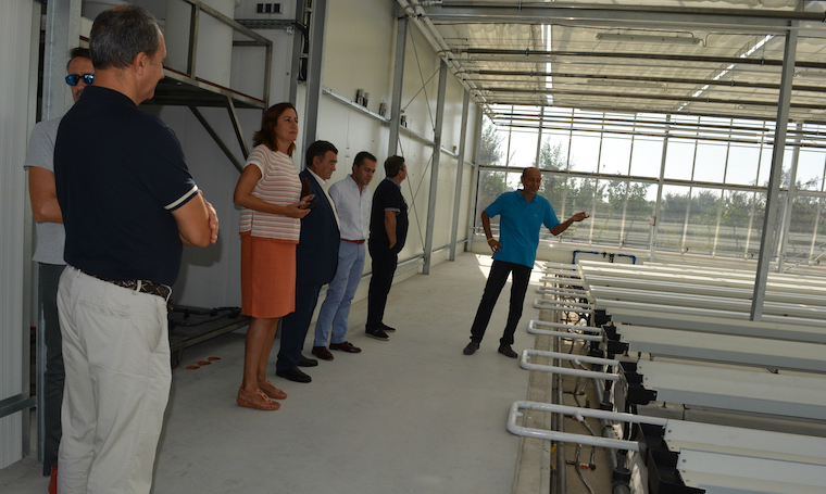 la xunta de galicia se interesa por un proyecto europeo desarrollado en lorqui para la produccion de plantas y peces ahorrando agua 60e7fdc1d3ac5