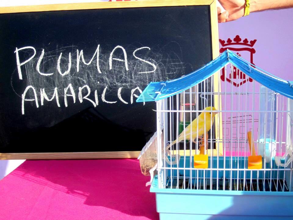 plumas amarillas sera la mascota de lorqui 2015 60e801010346b