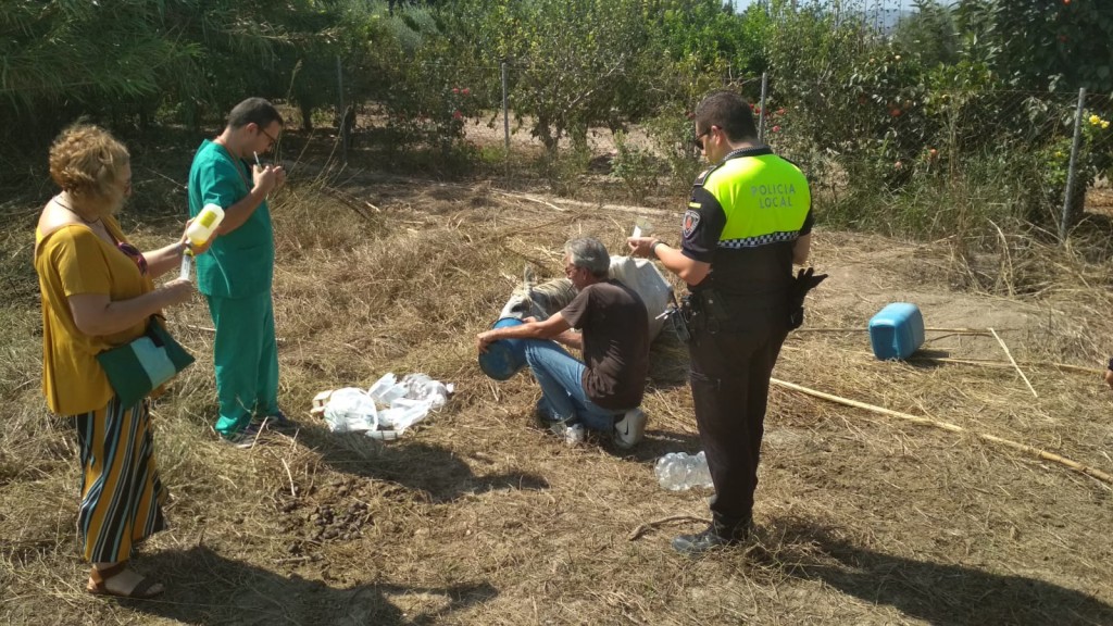 rescatado un caballo en mal estado y trasladado a la clinica veterinaria de la universidad de murcia 60e7f60712522