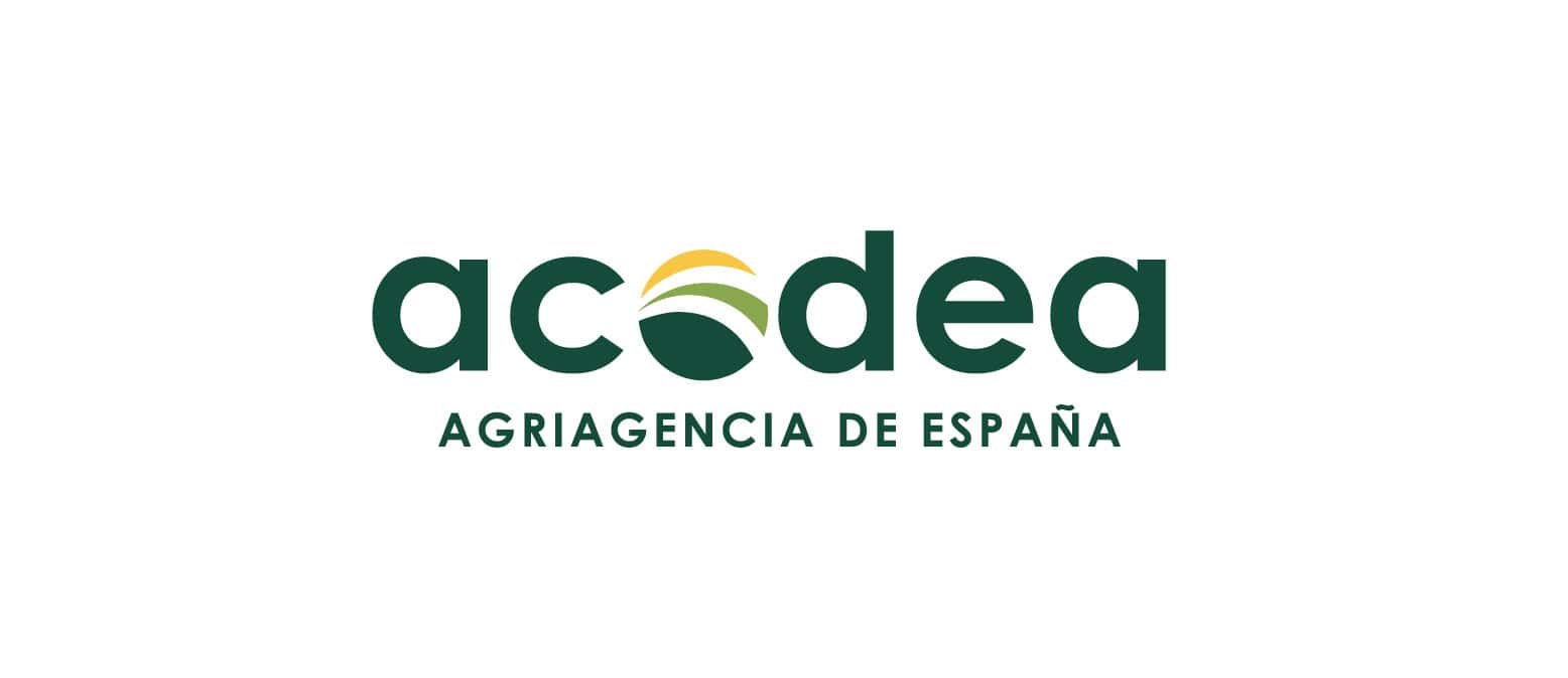 Agencia de Branding Murcia