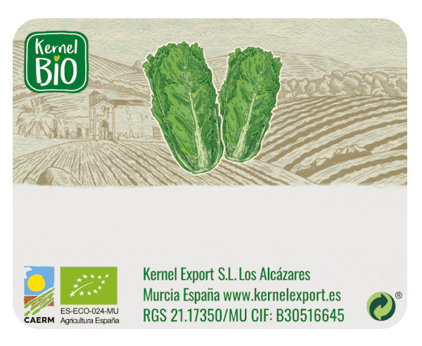 Kernel Export Kernel Export