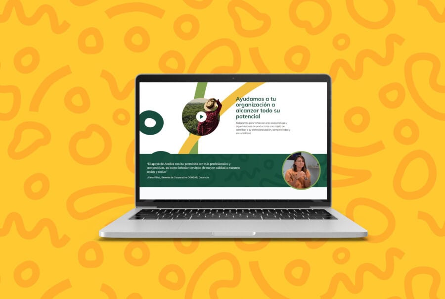 Diseño web Acodea