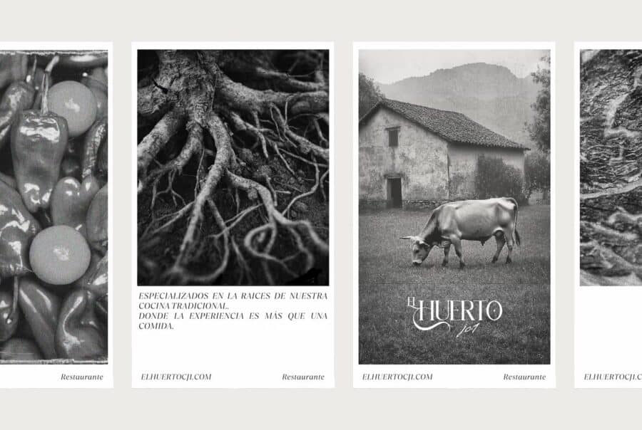 Raíces y productos naturales en El Huerto JC1, branding ecológico.