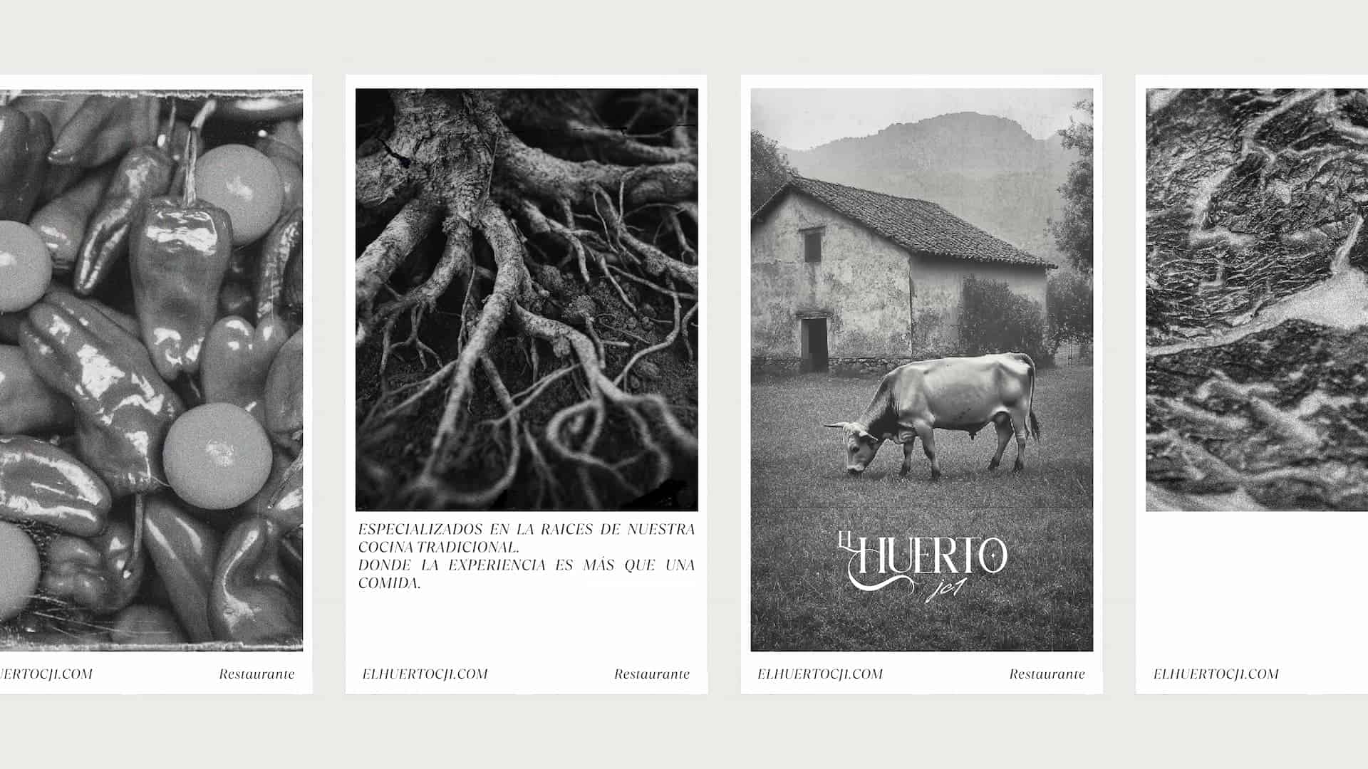 Raíces y productos naturales en El Huerto JC1, branding ecológico.